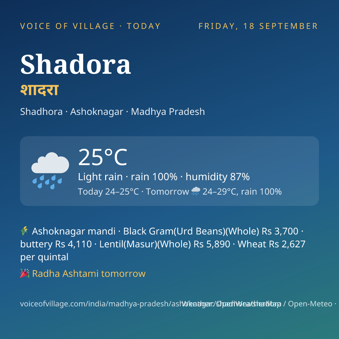 Shadora today