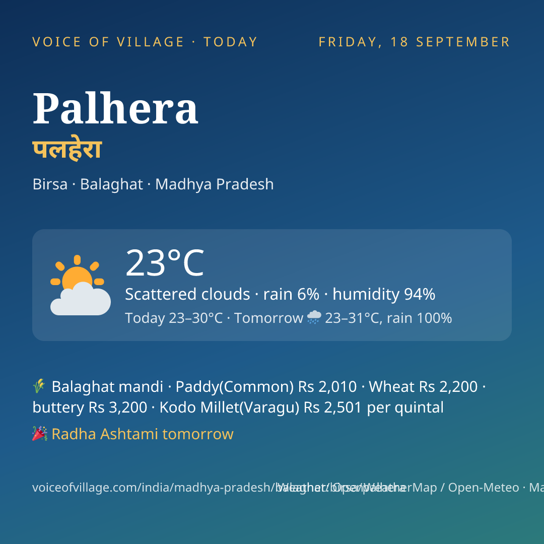 Palhera today
