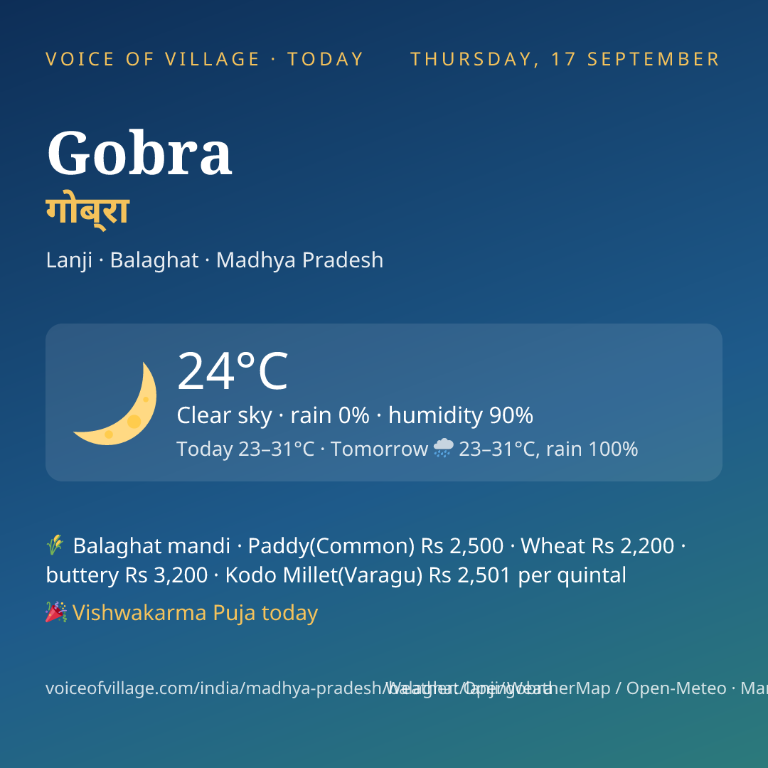 Gobra today