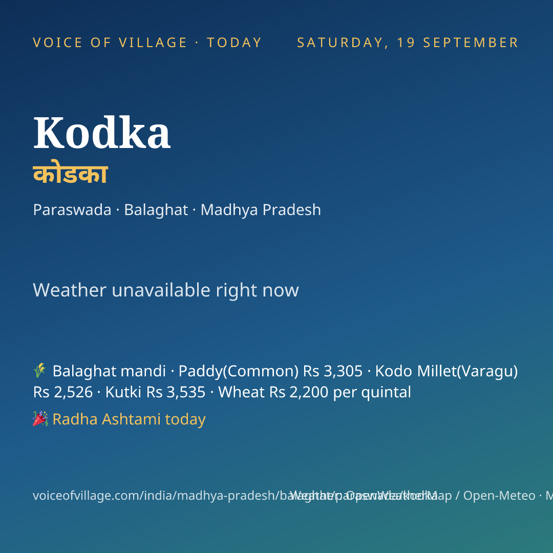 Kodka today