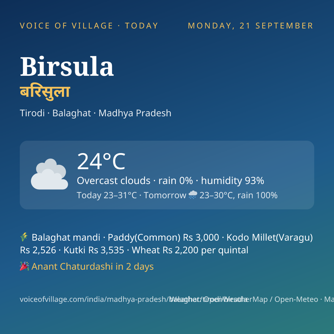 Birsula today