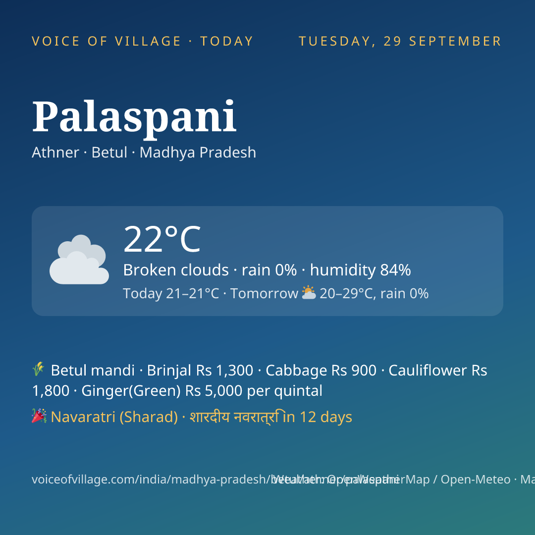 Palaspani today