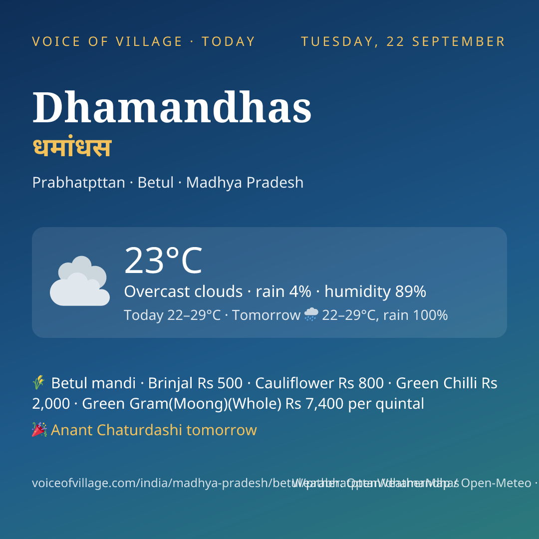 Dhamandhas today