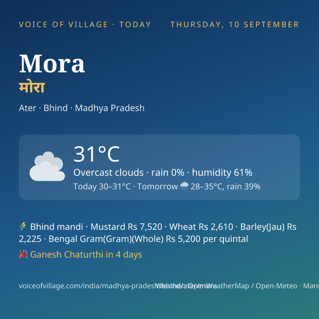 Mora today