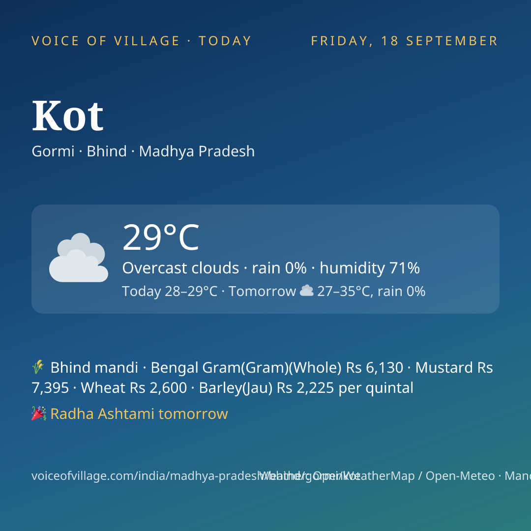Kot today