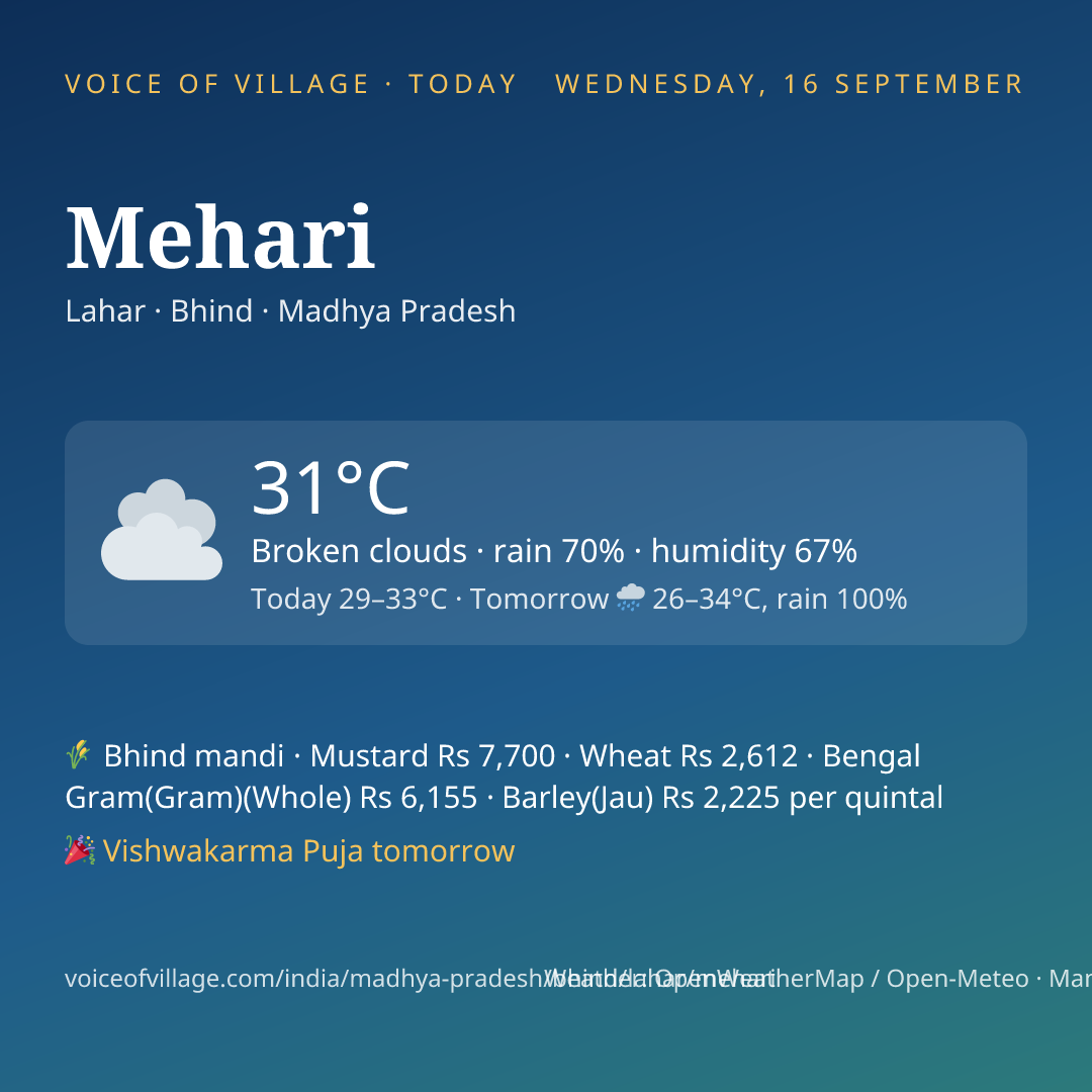 Mehari today