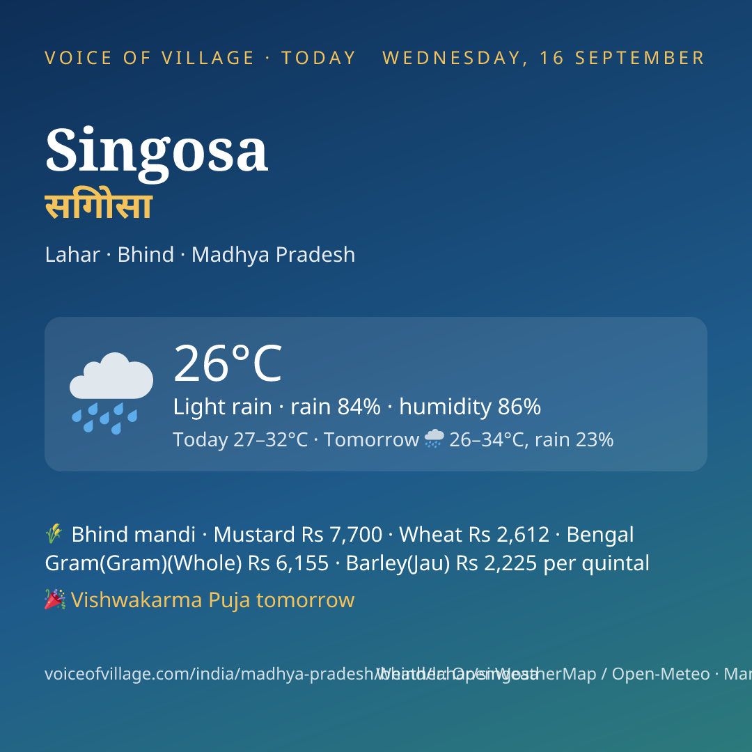 Singosa today