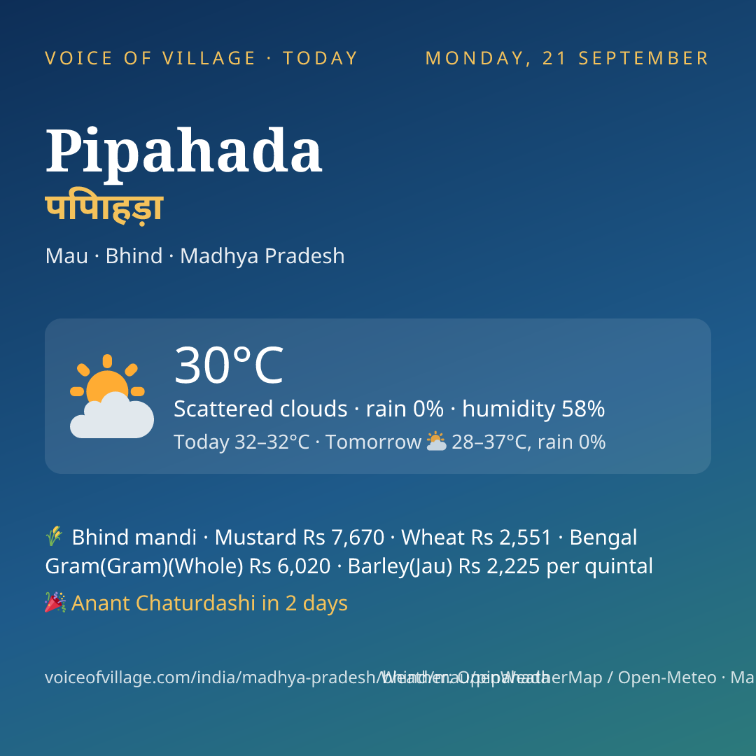 Pipahada today
