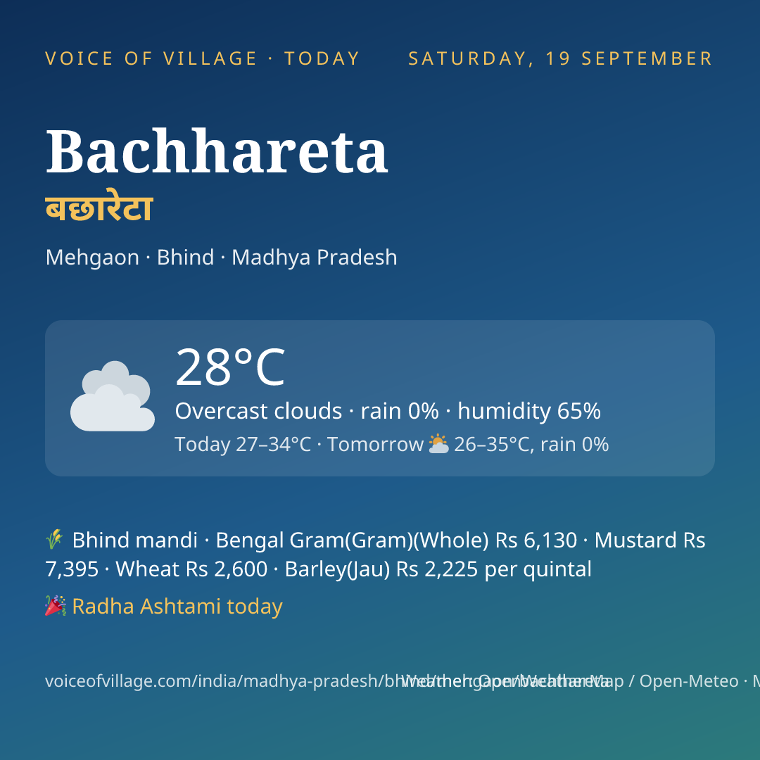 Bachhareta today