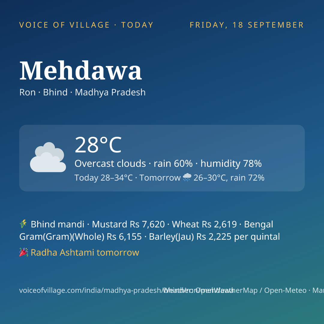Mehdawa today