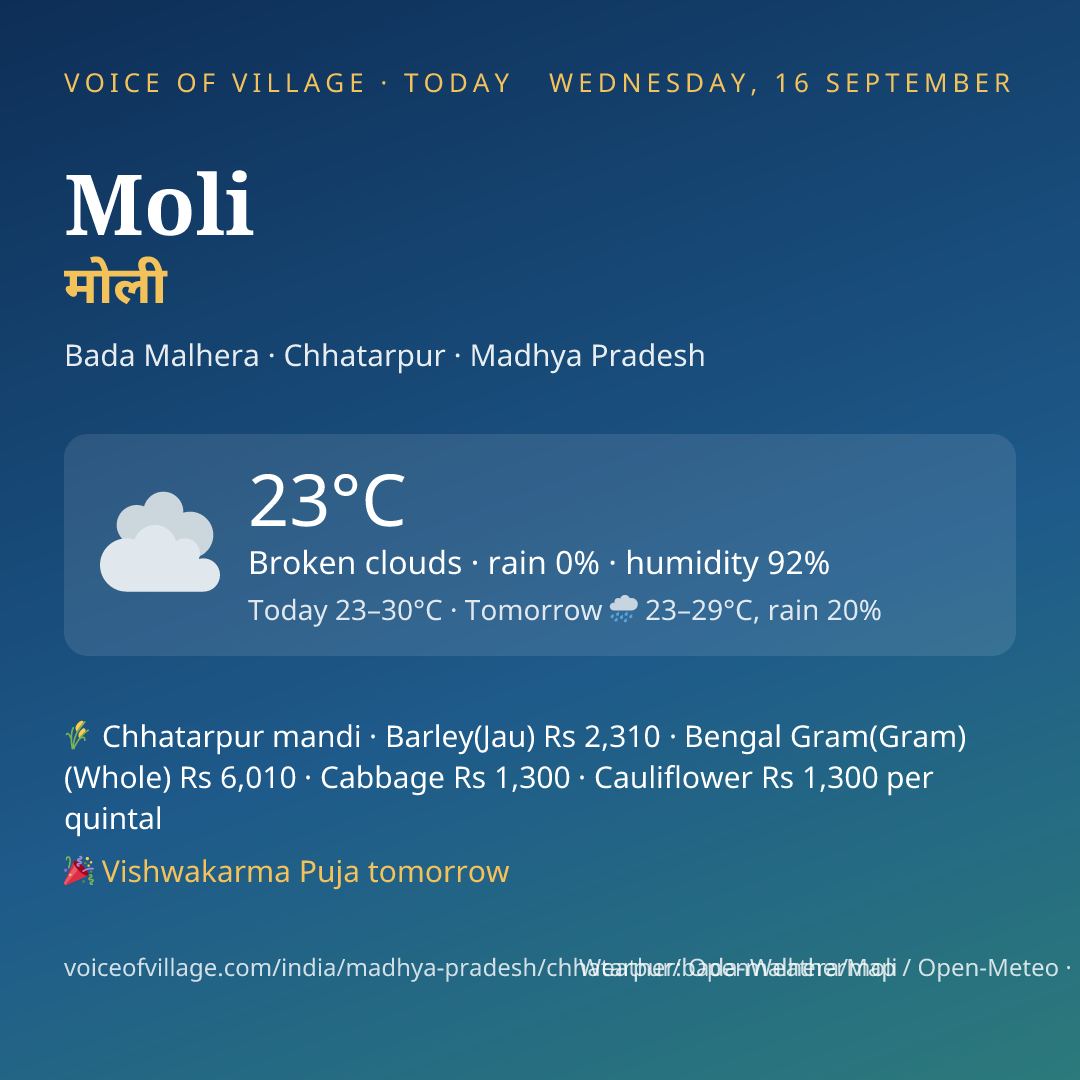 Moli today