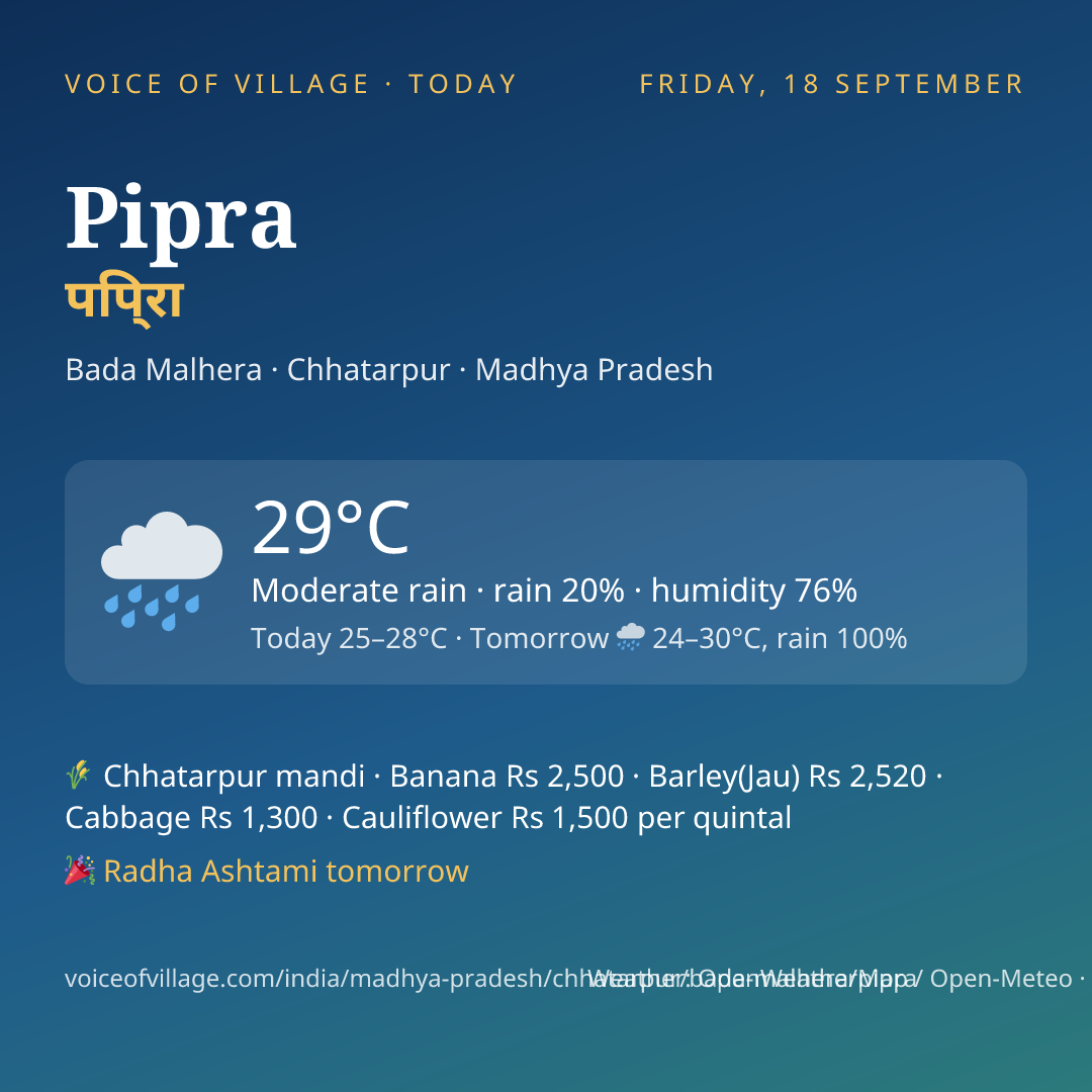 Pipra today