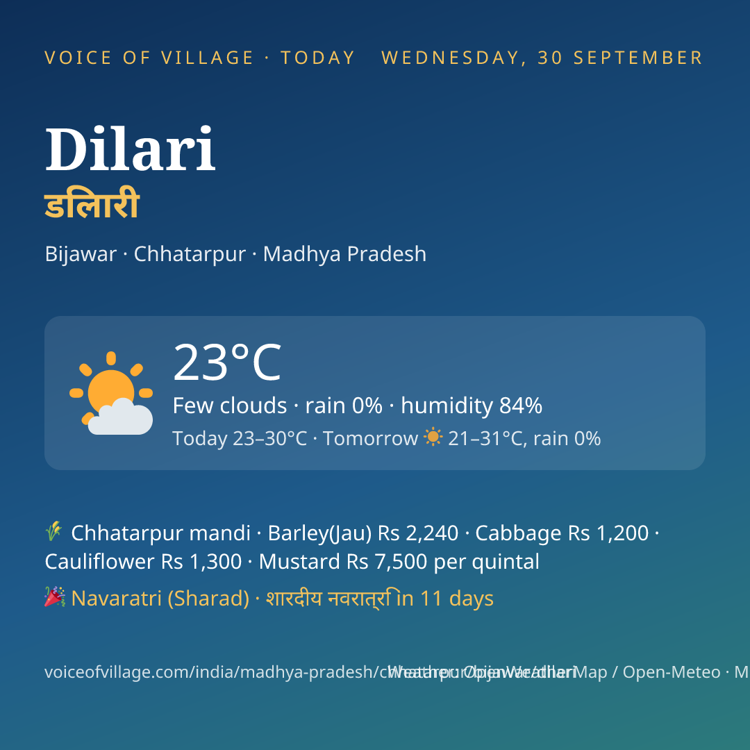 Dilari today
