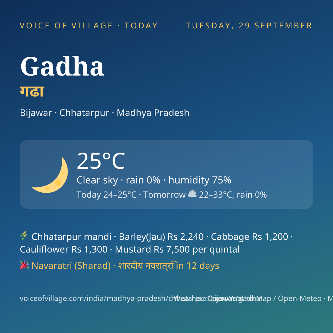 Gadha today
