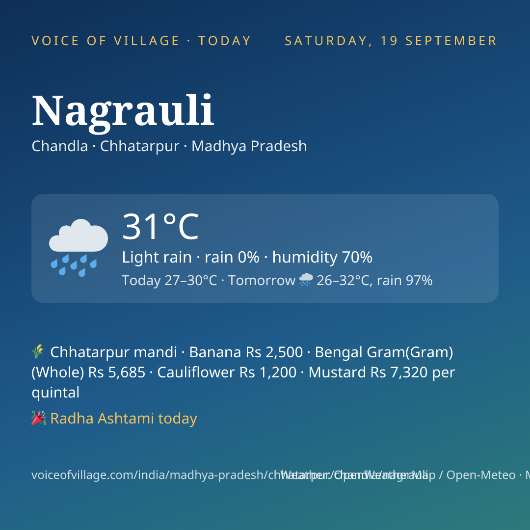 Nagrauli today