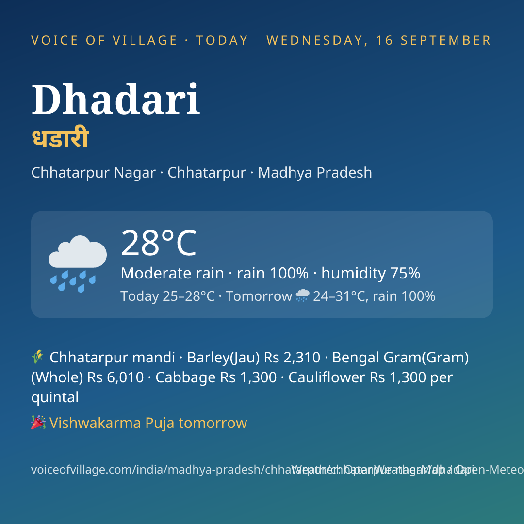 Dhadari today