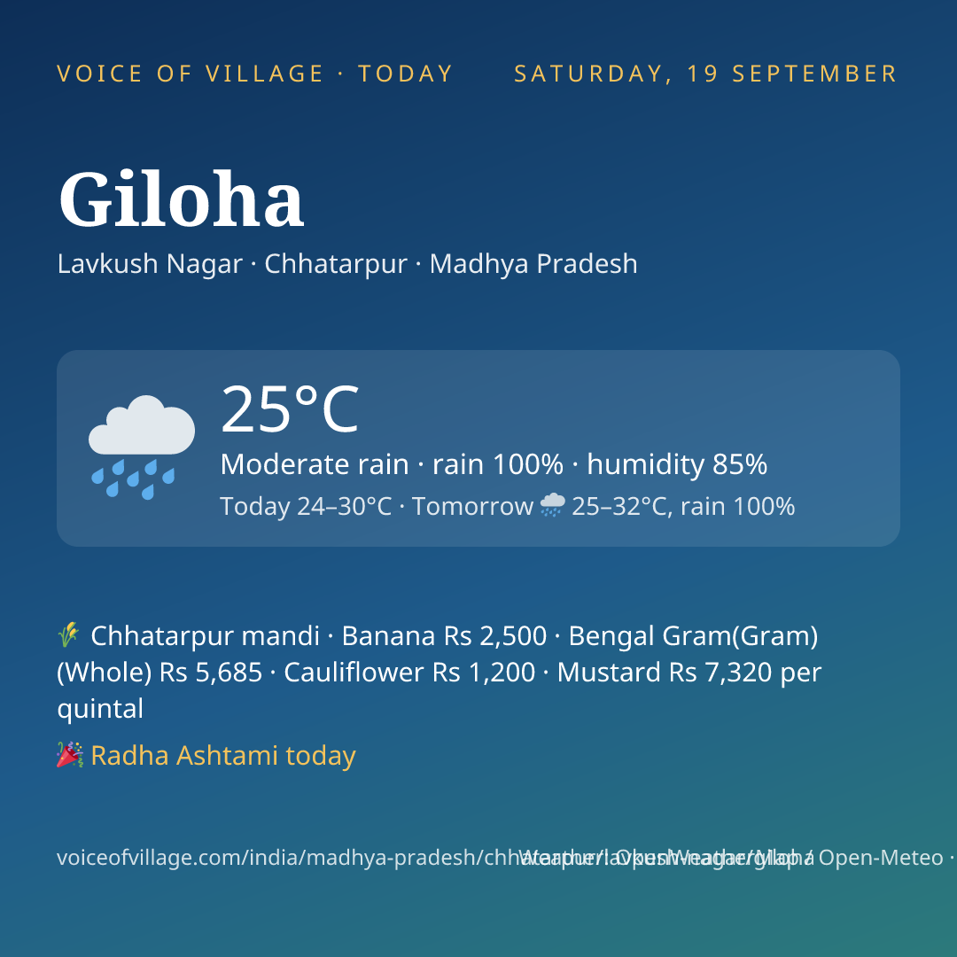 Giloha today