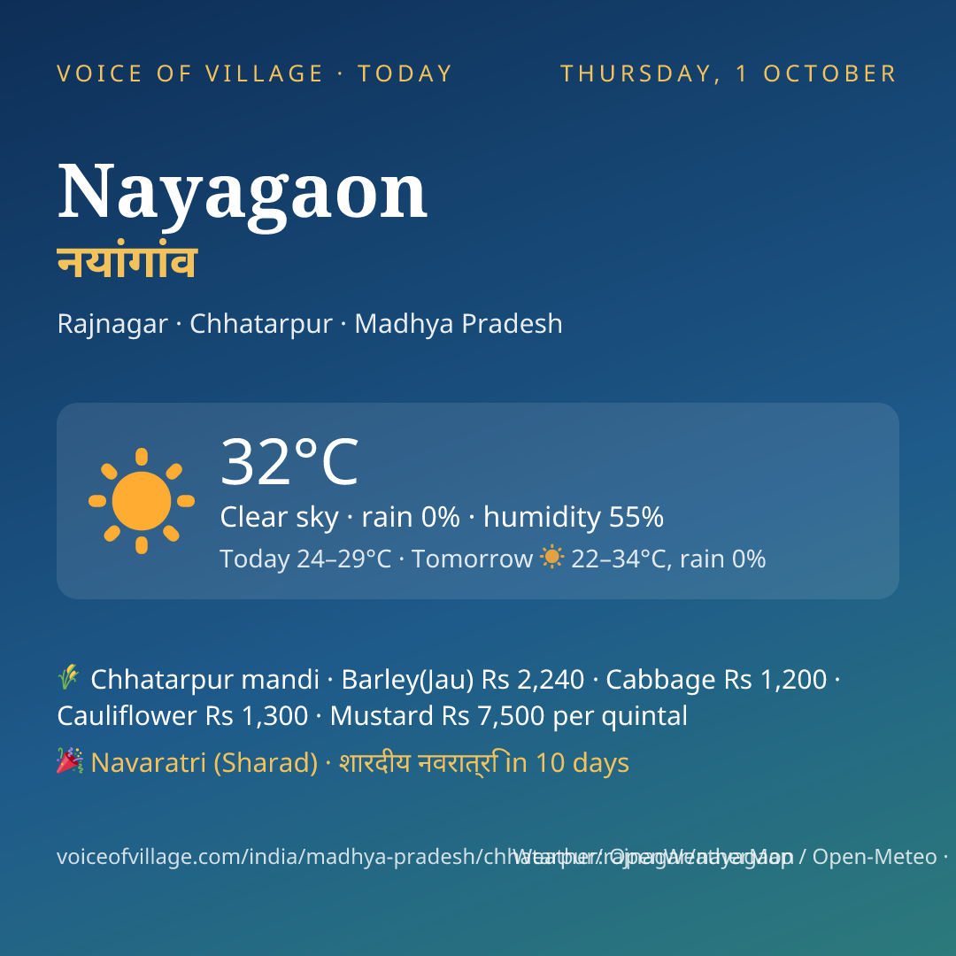 Nayagaon today