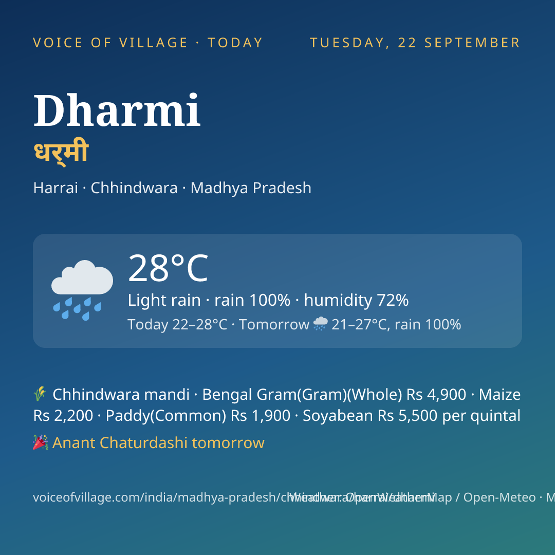 Dharmi today