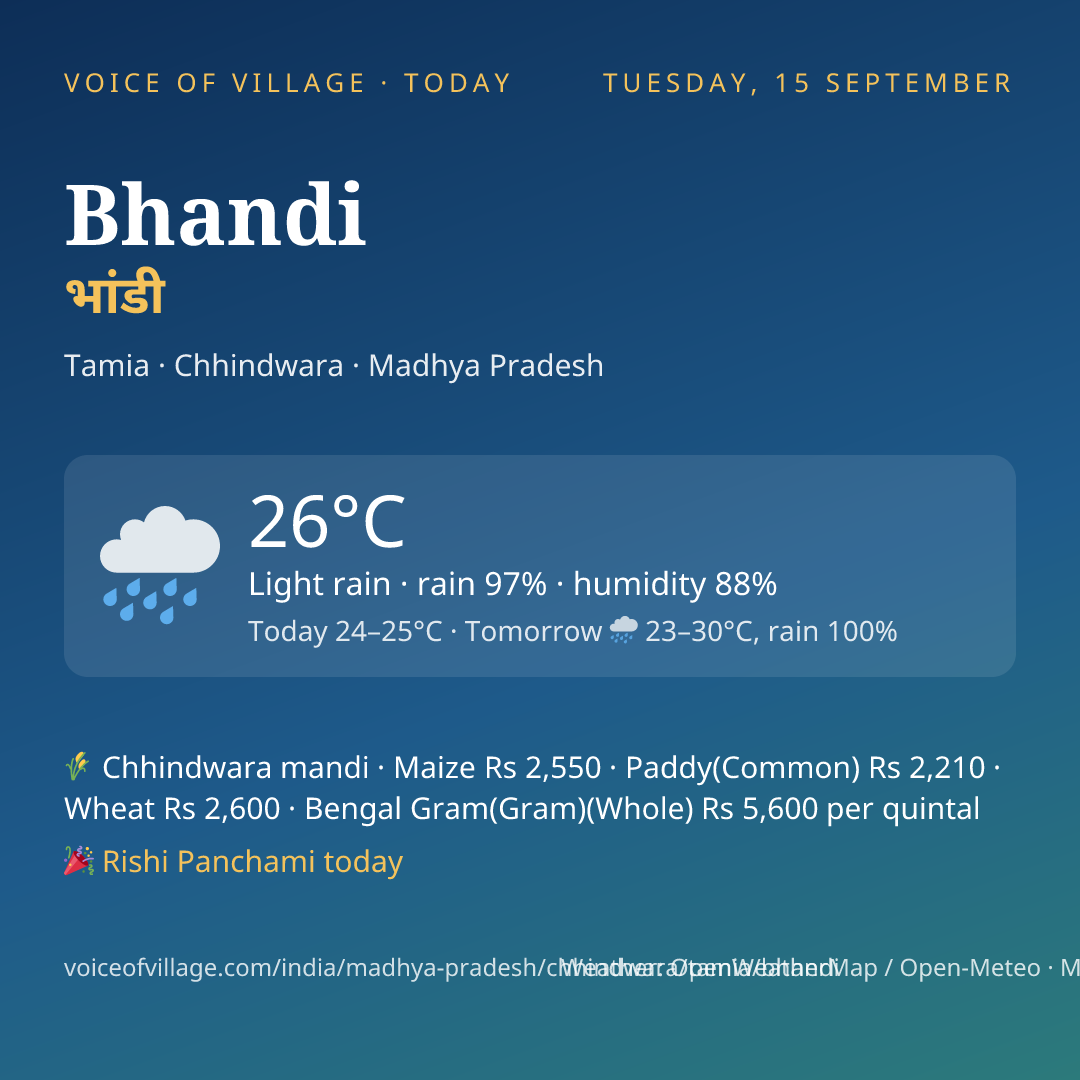 Bhandi today