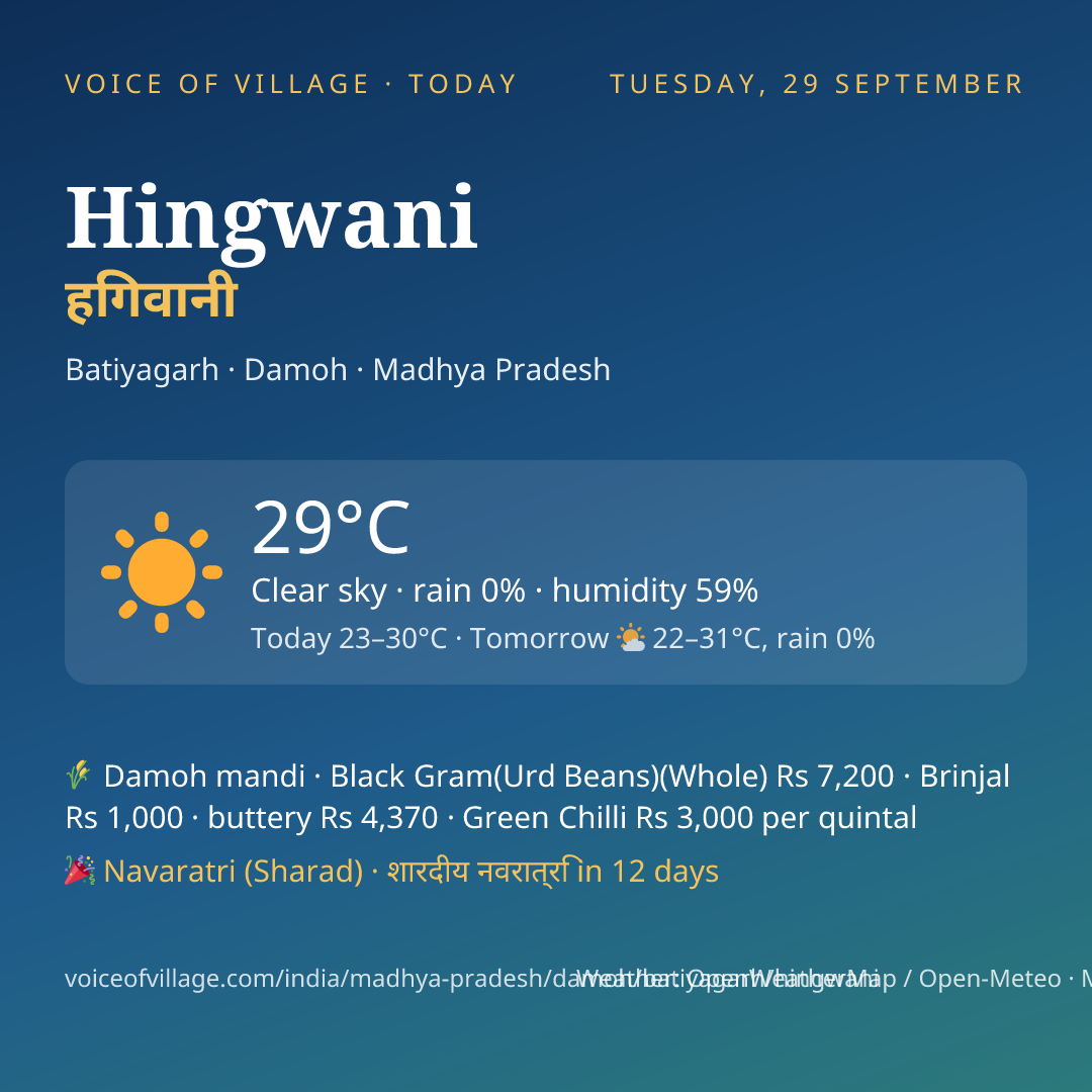Hingwani today