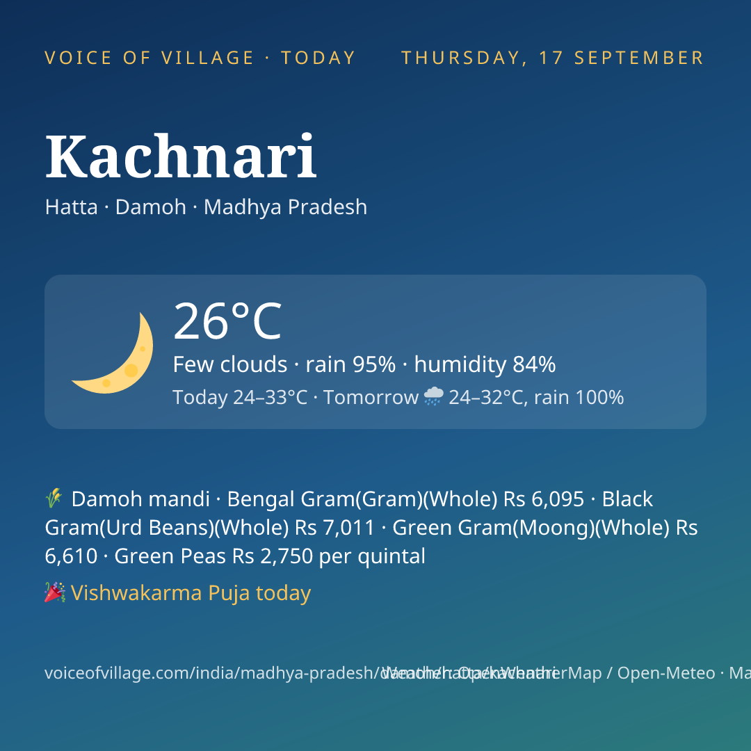 Kachnari today