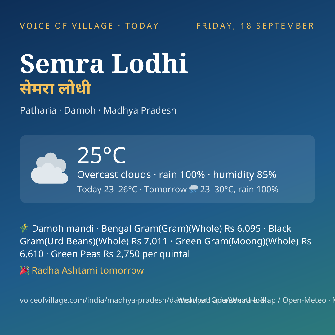 Semra Lodhi today