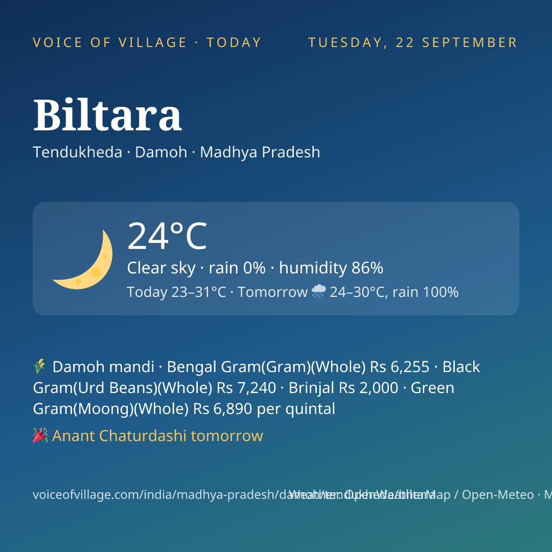 Biltara today