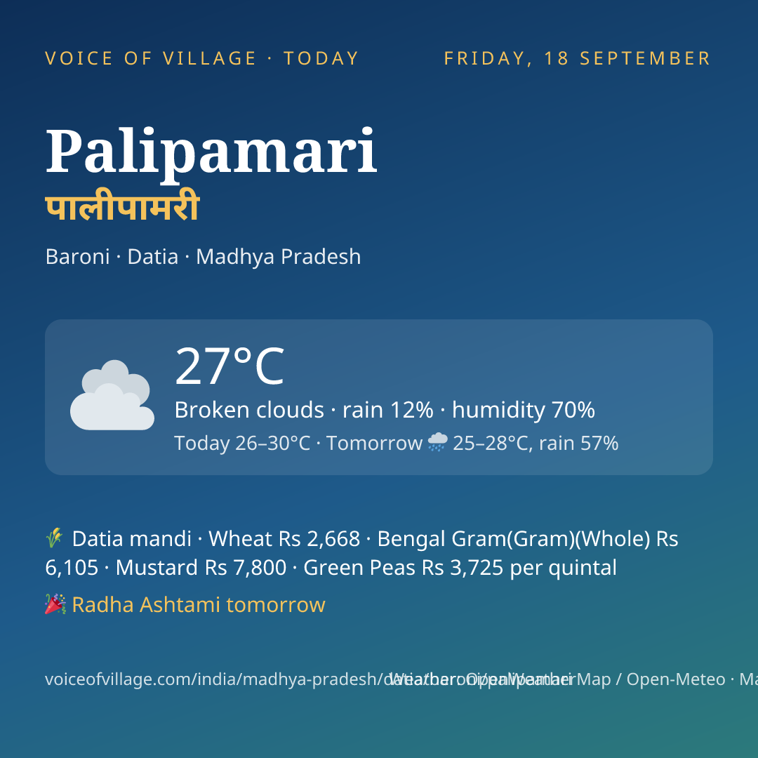 Palipamari today