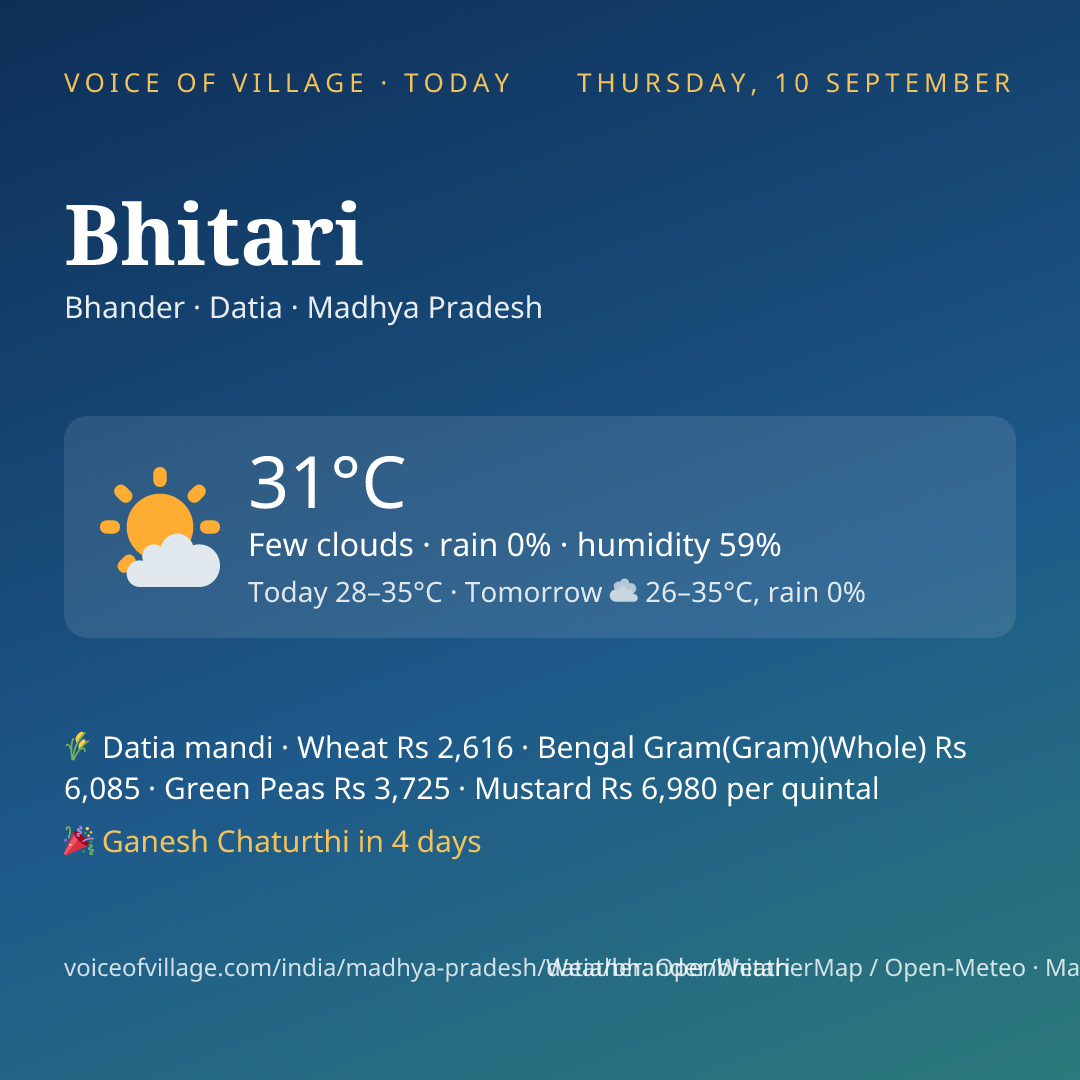 Bhitari today