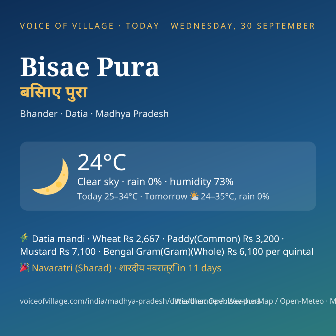 Bisae Pura today
