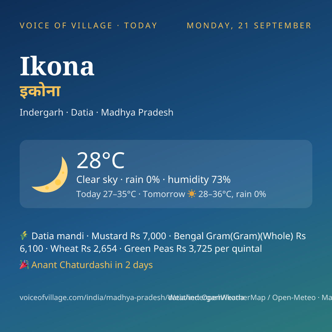 Ikona today
