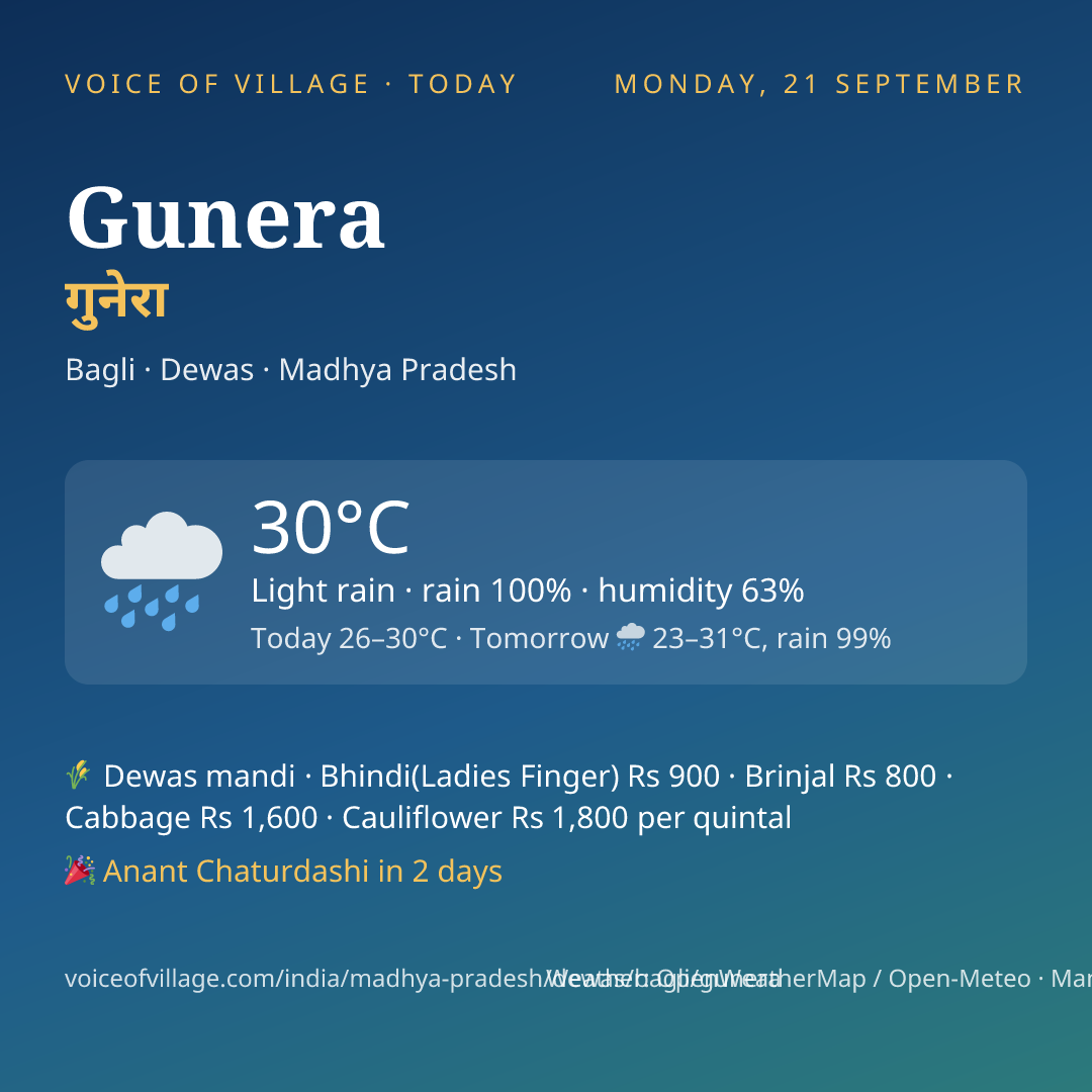 Gunera today