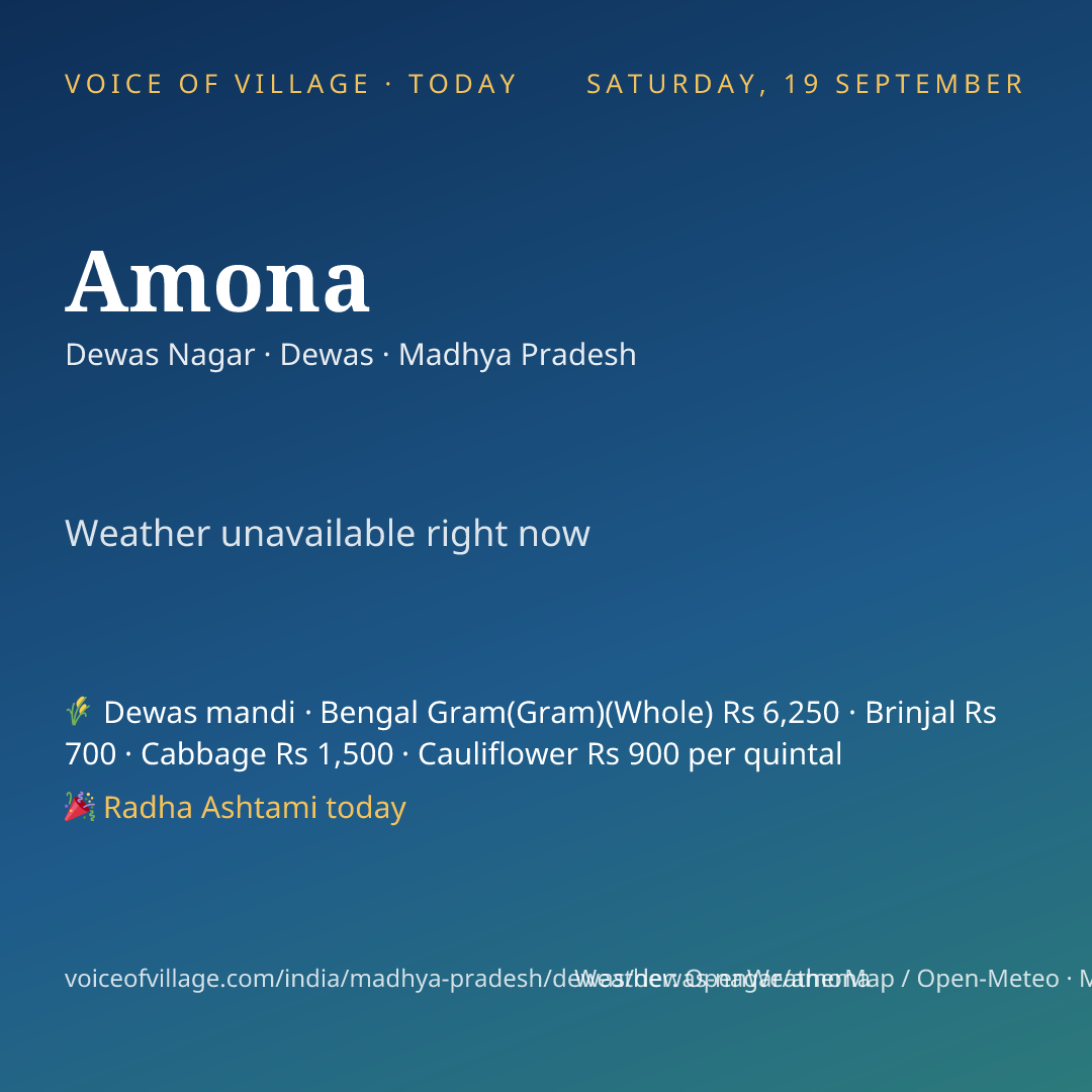 Amona today