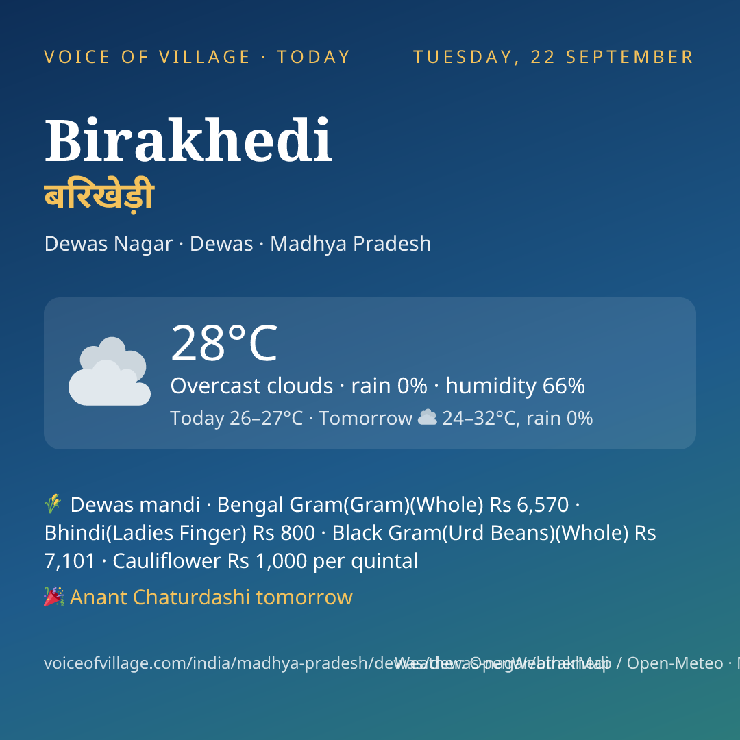 Birakhedi today
