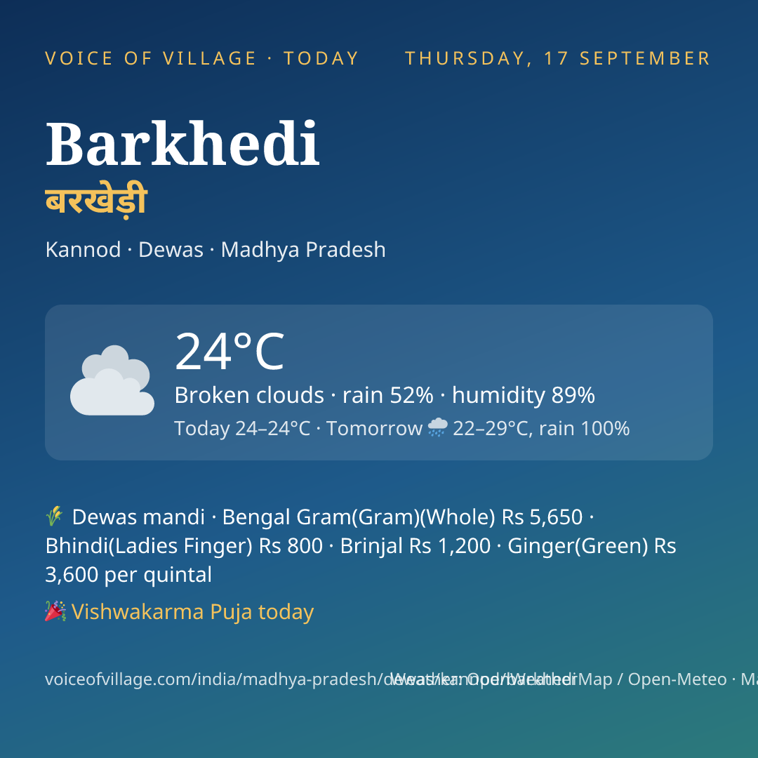 Barkhedi today