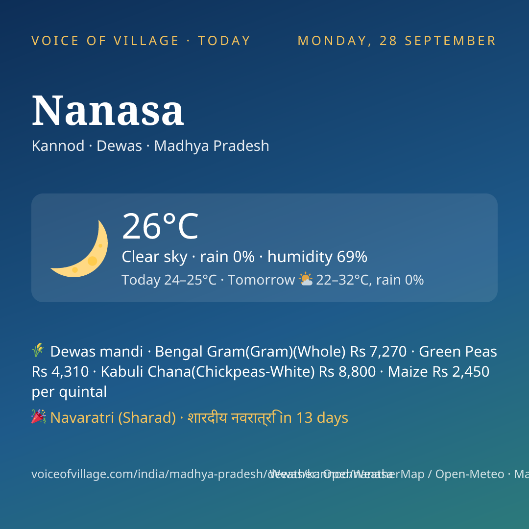 Nanasa today