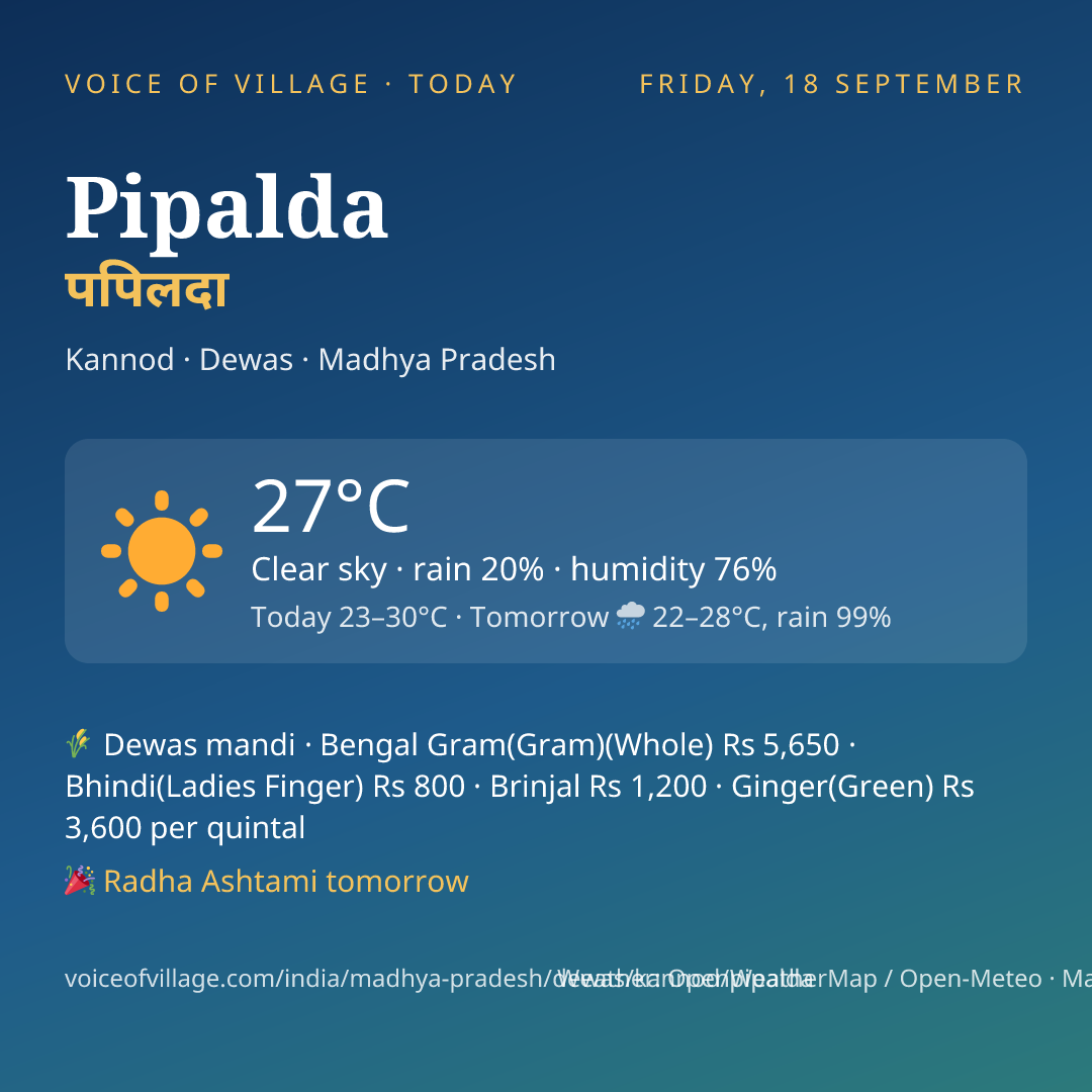 Pipalda today