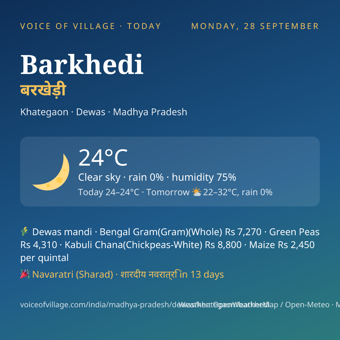 Barkhedi today