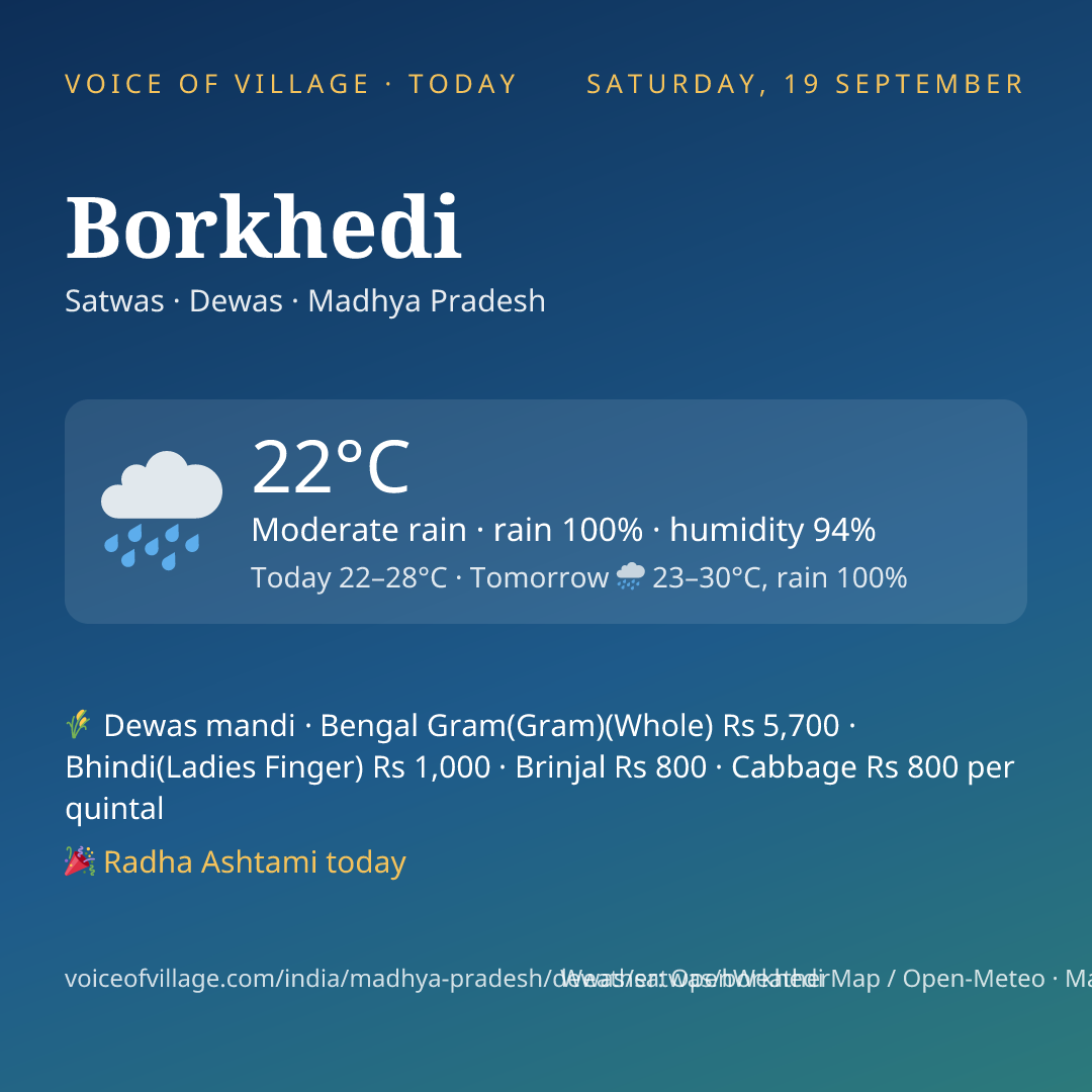 Borkhedi today