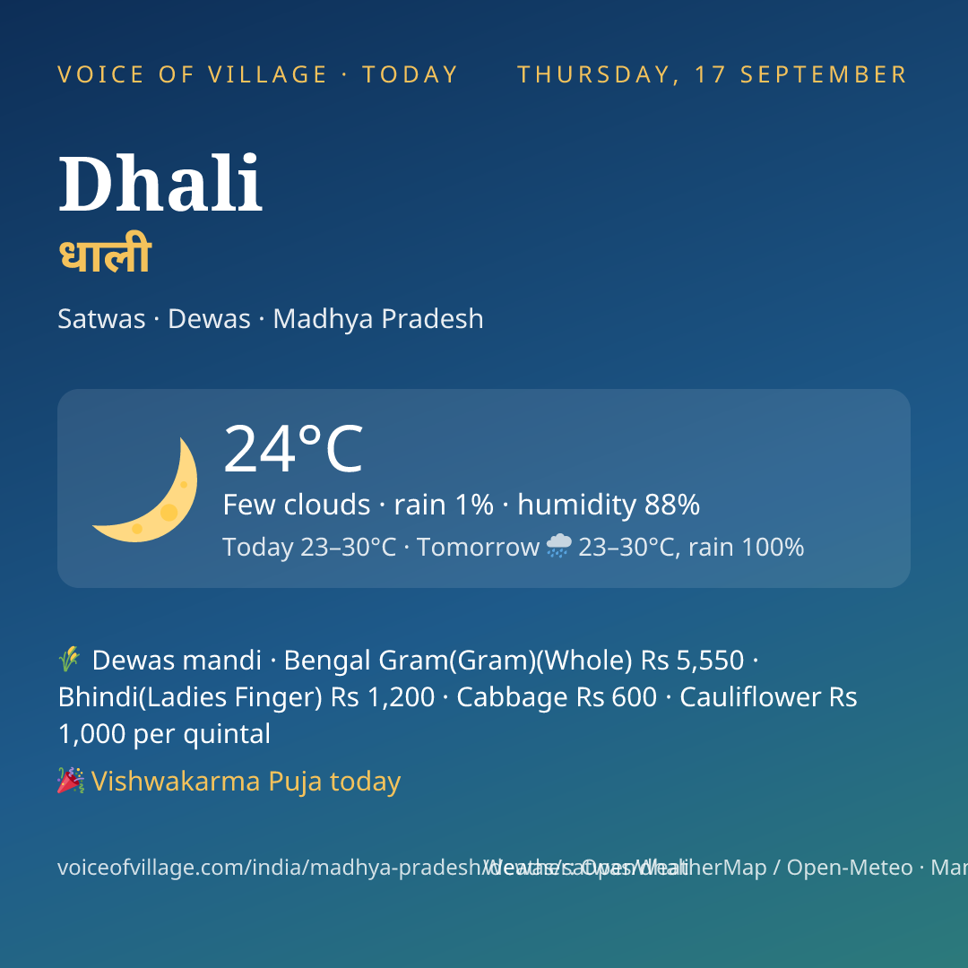 Dhali today