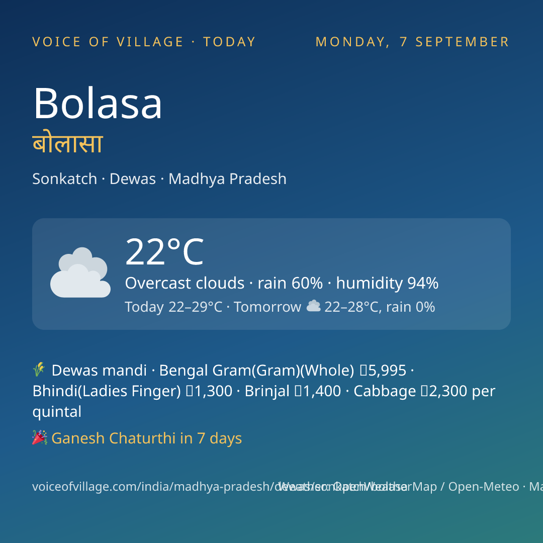 Bolasa today