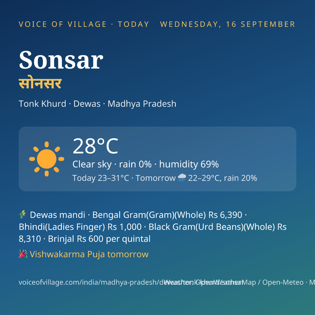 Sonsar today