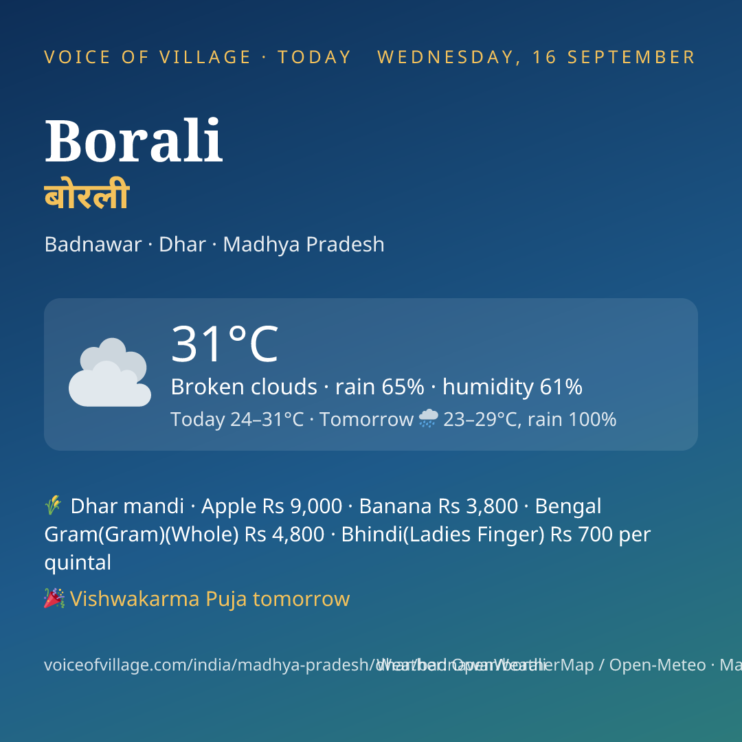 Borali today