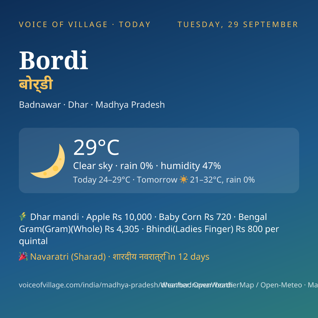 Bordi today