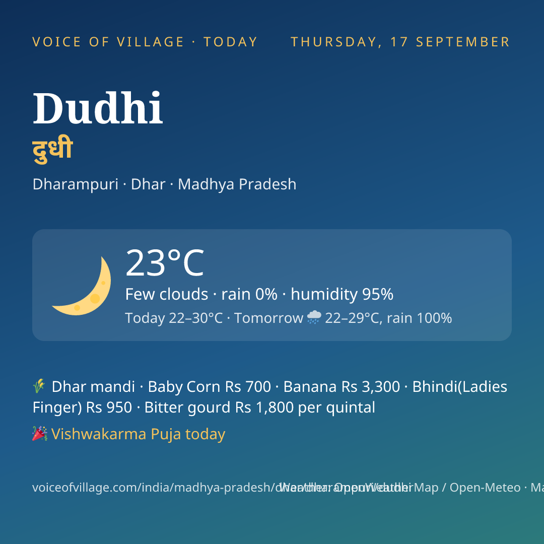 Dudhi today