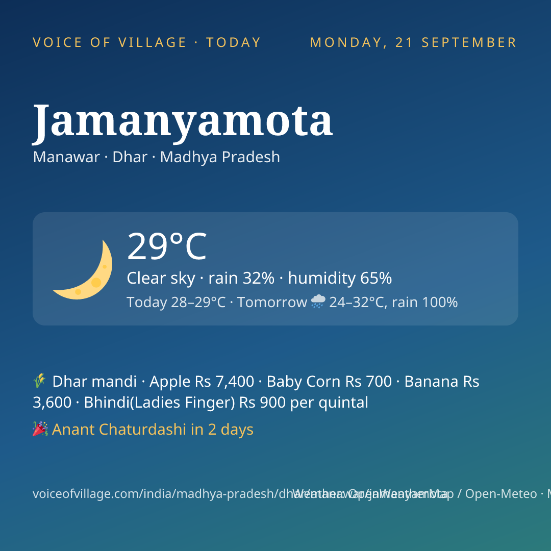 Jamanyamota today