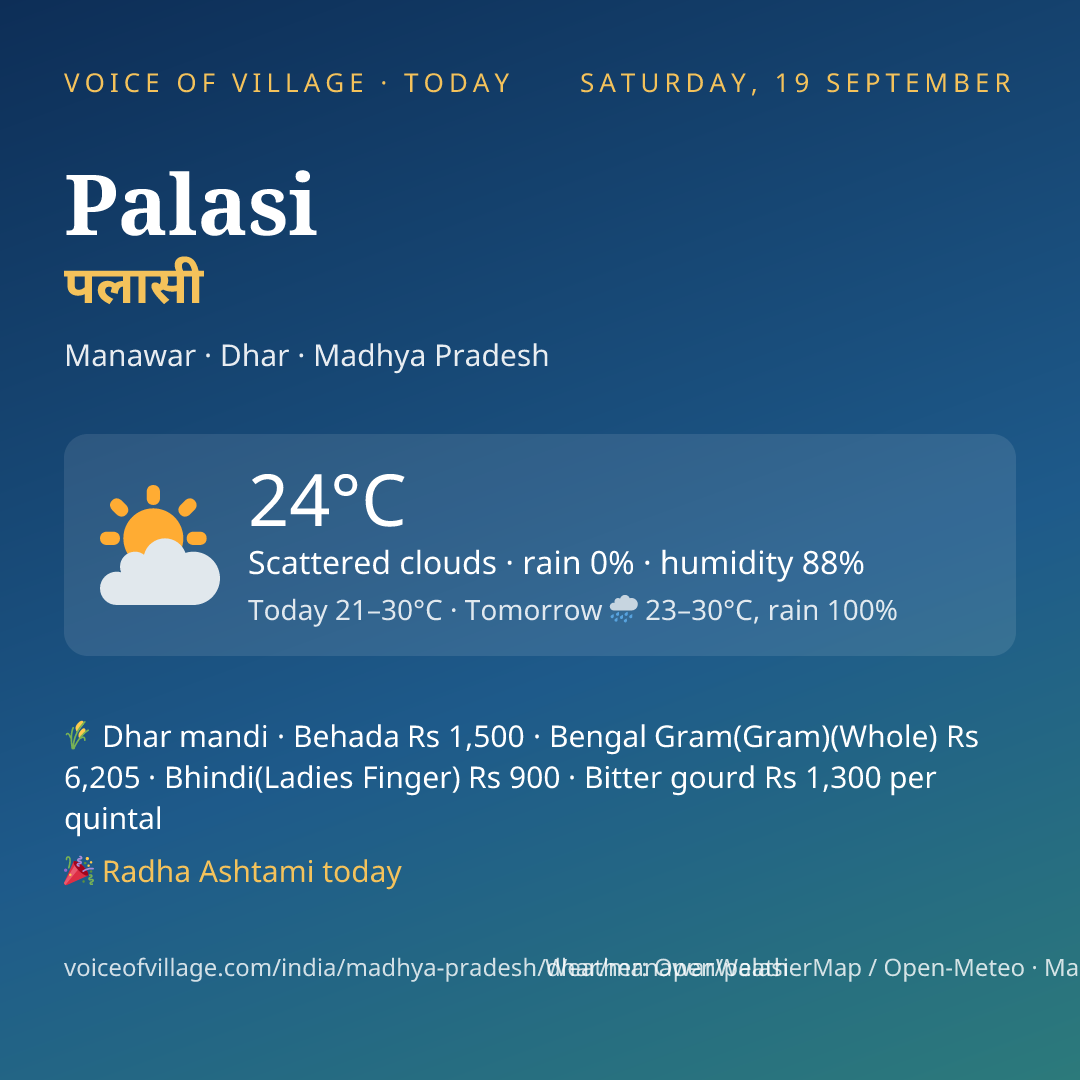Palasi today
