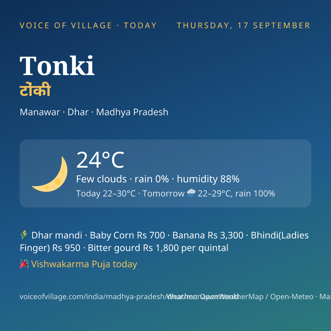Tonki today