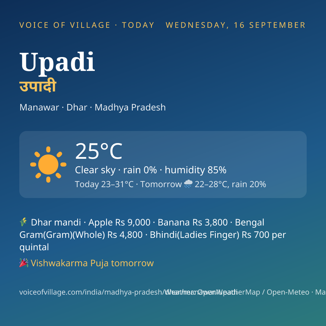 Upadi today